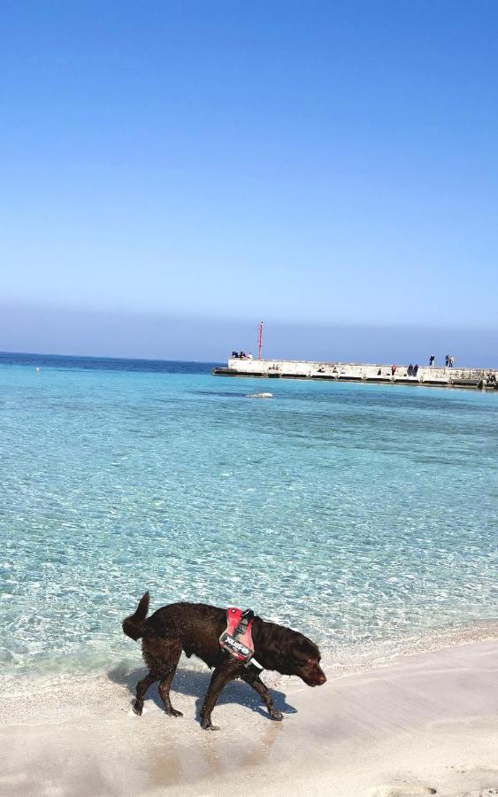 Happy Home - Mondello ปาแลร์โม ภายนอก รูปภาพ
